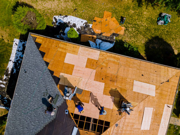 Best Flat Roof Repair Services  in Jackson, MS